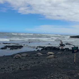 ブラックサンドビーチの画像