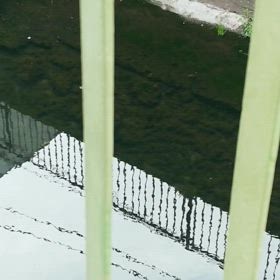 ツバメのカップルの画像