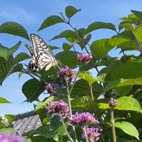 音作り楽しい〜♬の画像
