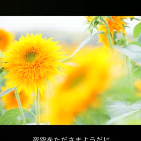 お心が、少しほどけますように　♡の画像