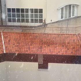 昨日も雪でしたの画像