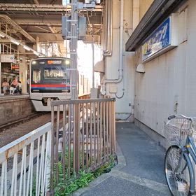 2024/08/25の画像