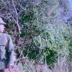 何度も何度も…の画像