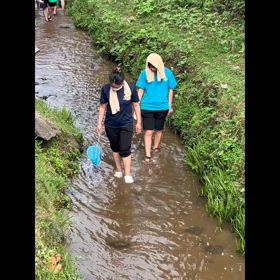 仲間が増えま したの画像