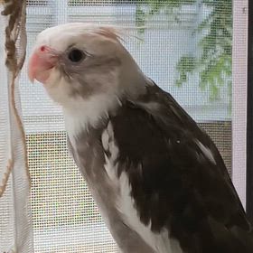 自分の過去を否定しないの画像