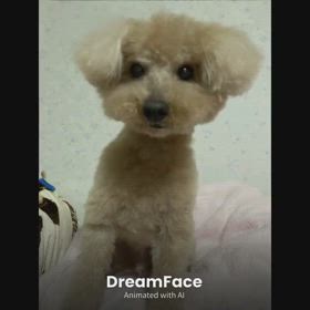 まねっこの画像