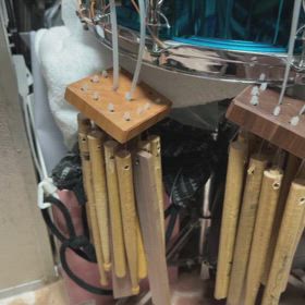 久しぶりの画像