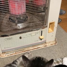 お邪魔してみたの画像