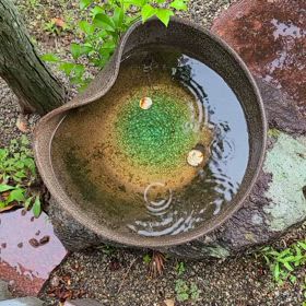 こんにちは。(5月27日)の画像