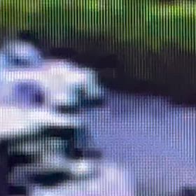 車庫から歩いて出て来て玄関に。逆？Σ('◉⌓◉’)の画像