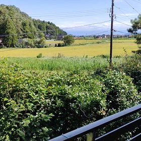 やっと涼しくなりました。　の画像