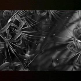 それぞれの世界観を、フラットに　♡の画像