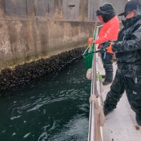 2024/03/12　ミズダコサイトフィッシングの画像