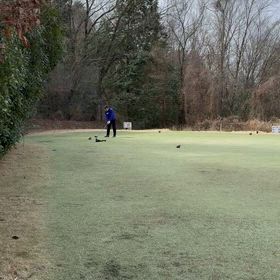 師匠のラウンドレッスン‼️の画像