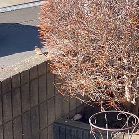 あまりにも可愛すぎての画像