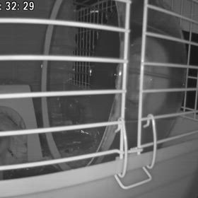 おやすみなさい！の画像