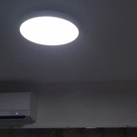 しんれーの画像