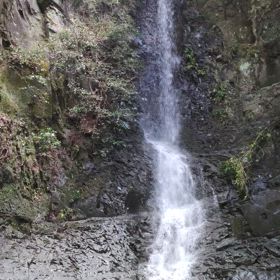 滝へ遊びに行ったよの画像