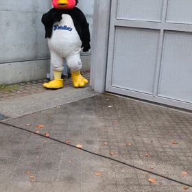 ちょうど1年前の画像