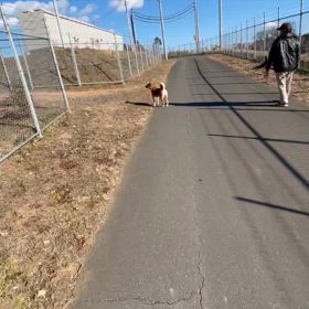 石岡八郷ベースの画像