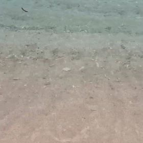 ピンクの砂浜の画像