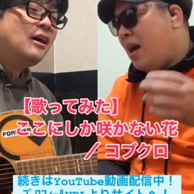 【歌ってみた】ここにしか咲かない花 ／ コブクロの画像
