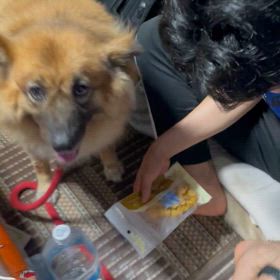 マロさんにも必ずの画像