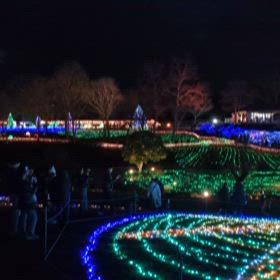 人工膝関節置換術8ヶ月後☆⑤香川県まんのう公園イルミネーションの画像