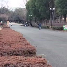 2/17 リレー選考会⑦の画像