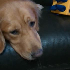 ゆっくり食べよう。の画像