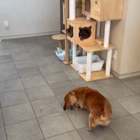 いつ終わるの？の画像