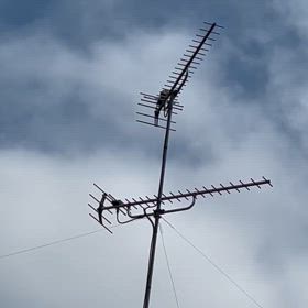 かっこうの画像