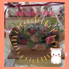 お見舞い!…そして医療ミスの画像