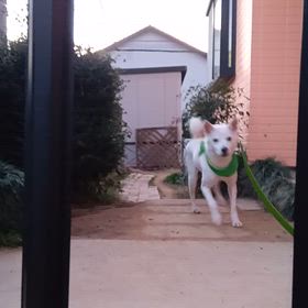 今朝の二匹　2026/2/4の画像