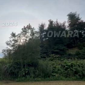 2024年9月30日（月）のおわらサーキットの画像