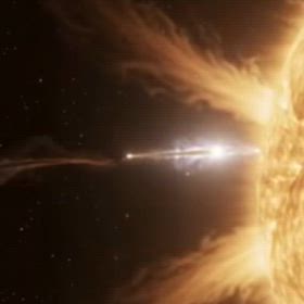 太陽フレアと熊の被害との関係の画像