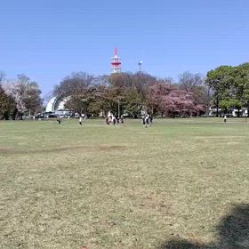 4/12 ジャベリックスロー⑥の画像