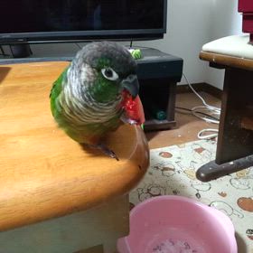 まったりした、休日を楽しんでいますの画像