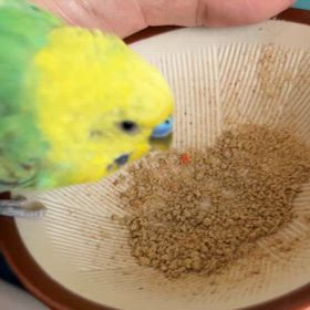 治療16日目の画像