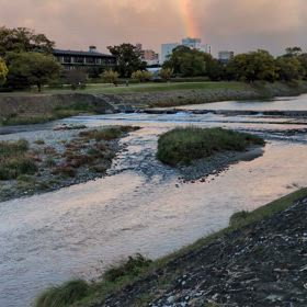きょうの散歩道の画像