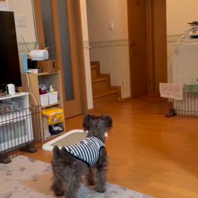 240329 本帰国&再会の画像