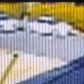 車庫から出てきてた　Σ('◉⌓◉’)の画像