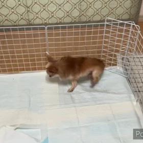 頭がしっかりしてくると。の画像