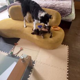 お家での遊びとお外での遊びの画像