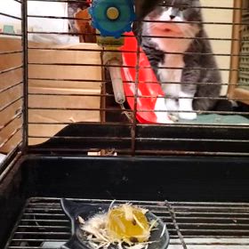 大きな部屋へ引越の画像