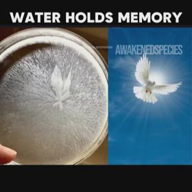 水を使って... ishjay1960/57258の画像