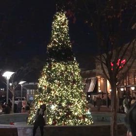 初めての外食☆の画像