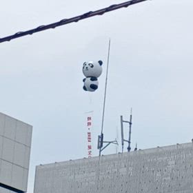 パンダアドバルーンの画像