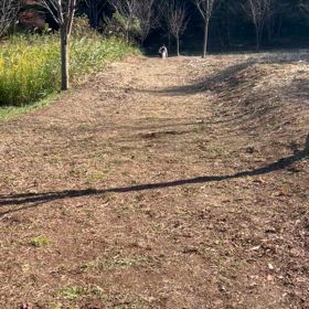 クリスマスに救急車に乗るの画像