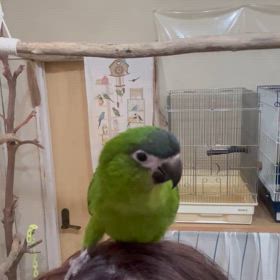 可愛い子たちのご紹介♡の画像